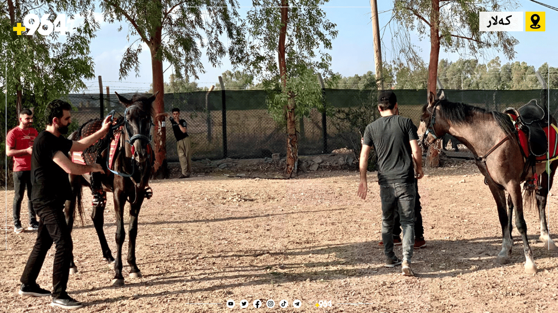 ئێستا دەتوانیت لە کەلار خۆت فێری ئەسپسواری بکەیت