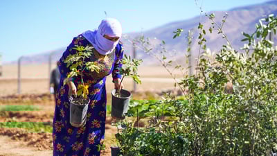 نەتەوە یەکگرتووەکان  10 هه‌زار نه‌مامى به‌سه‌ر 100 جوتیار دابه‌شكرد