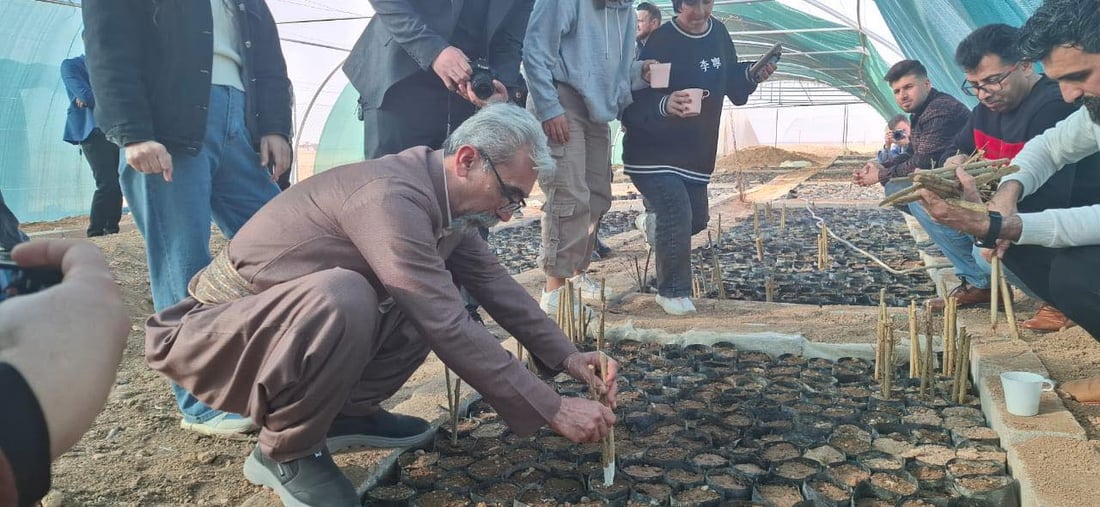 5000 قه‌ڵه‌مه‌ هه‌ناره‌كه‌ى هه‌ڵه‌بجه‌ به‌سه‌ر جوتیارانى شنگال دابه‌ش ده‌كرێت