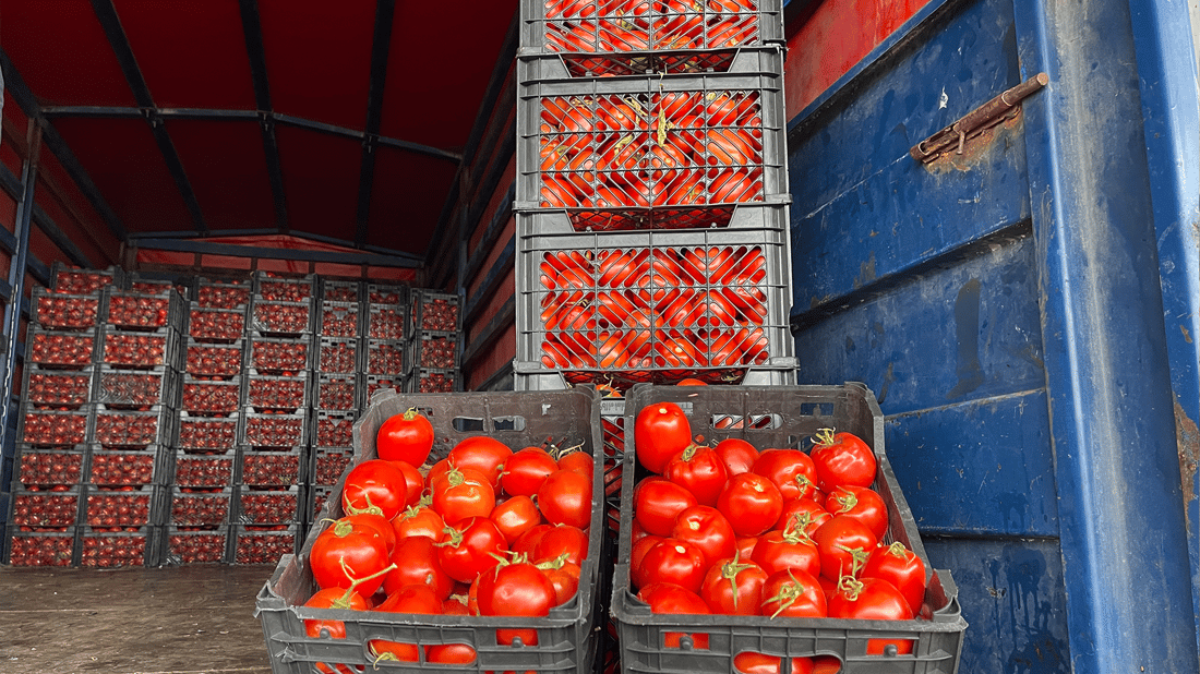 هاورده‌كردنی قه‌ده‌غه‌یه‌ و بازاڕی سلێمانی پڕه‌ له‌ ته‌ماته‌ی ئێرانی