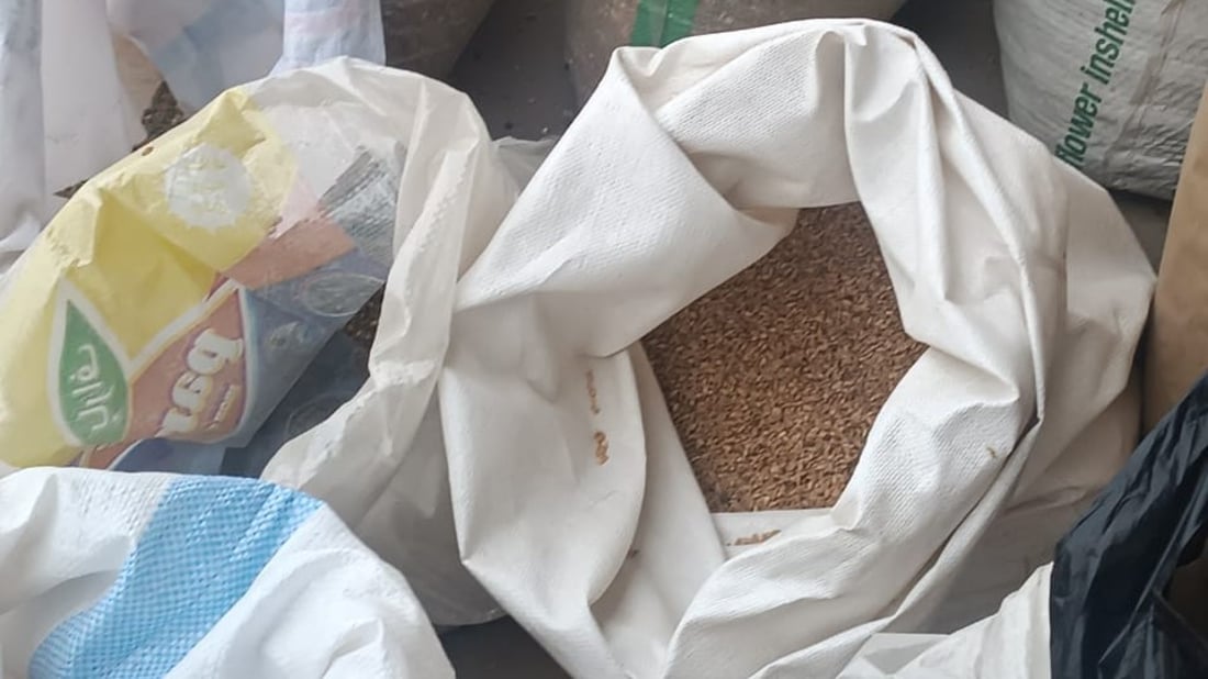 أعلاف البصرة من الكوت وزاخو و”المطيرجية” يحركون السوق.. أسعار أبو الخصيب اليوم