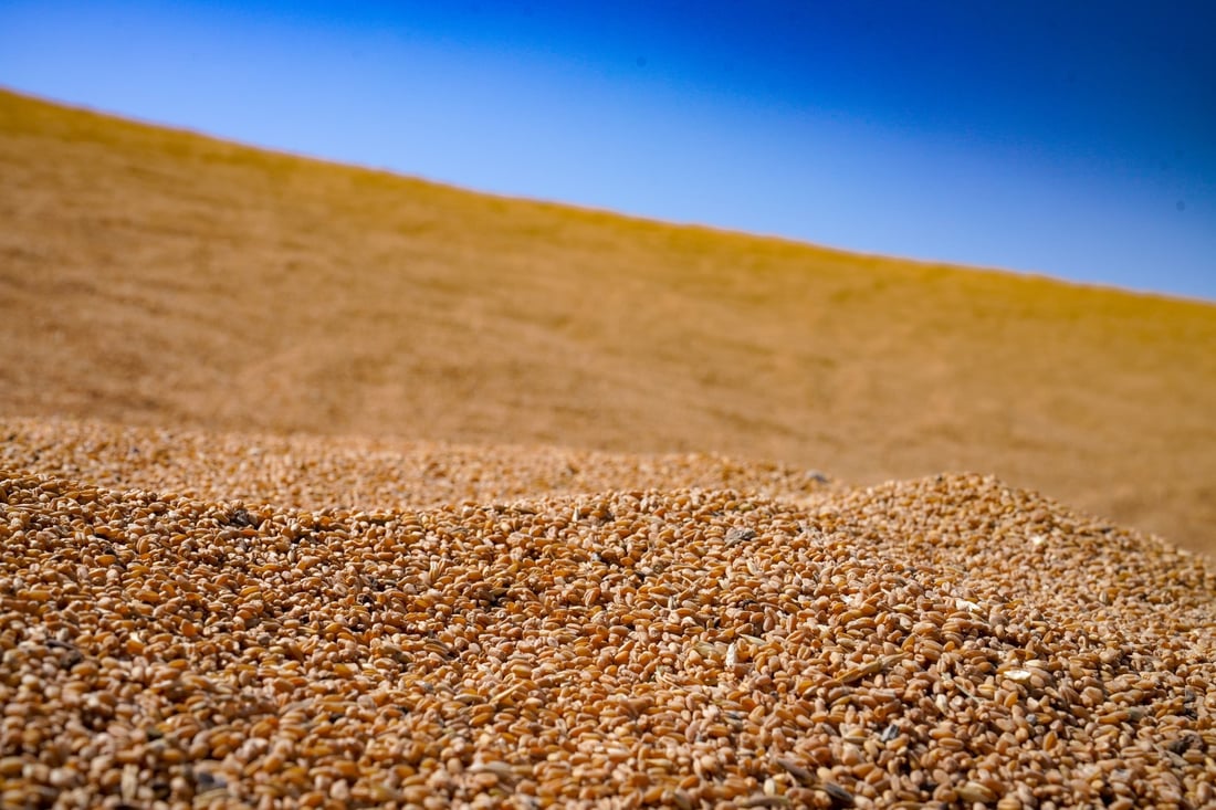 Iraq says wheat reserves sufficient until 2027, ramps up domestic flour production