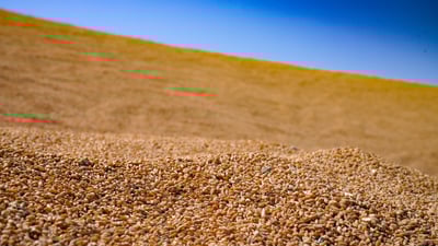 Iraq says wheat reserves sufficient until 2027, ramps up domestic flour production