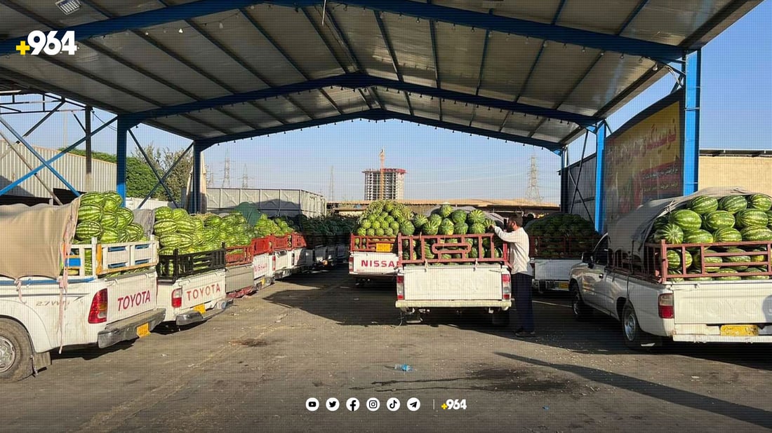 قایمقامیەتی سلێمانی: بەرهەمی سەوزە و میوەی عەلوەکە هاوسەنگ دەکەین