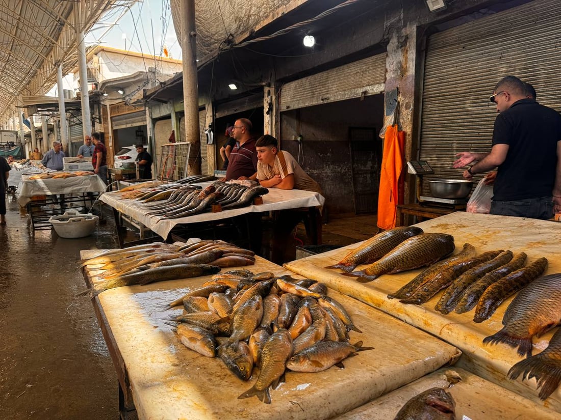 سوق السمك في الموصل ينتعش.. زوار أجانب يتوافدون يومياً (صور)