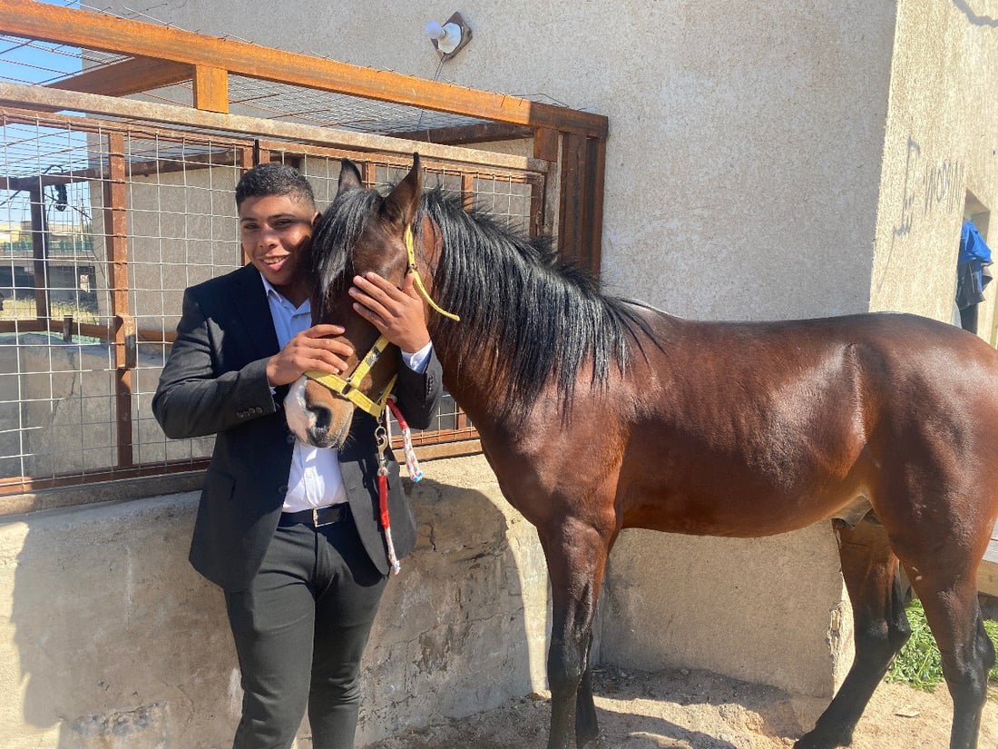 صور: خيول ميسان تشتاق إلى السباقات ومنافسات الجمال.. الحكومة تريد إحصائيات