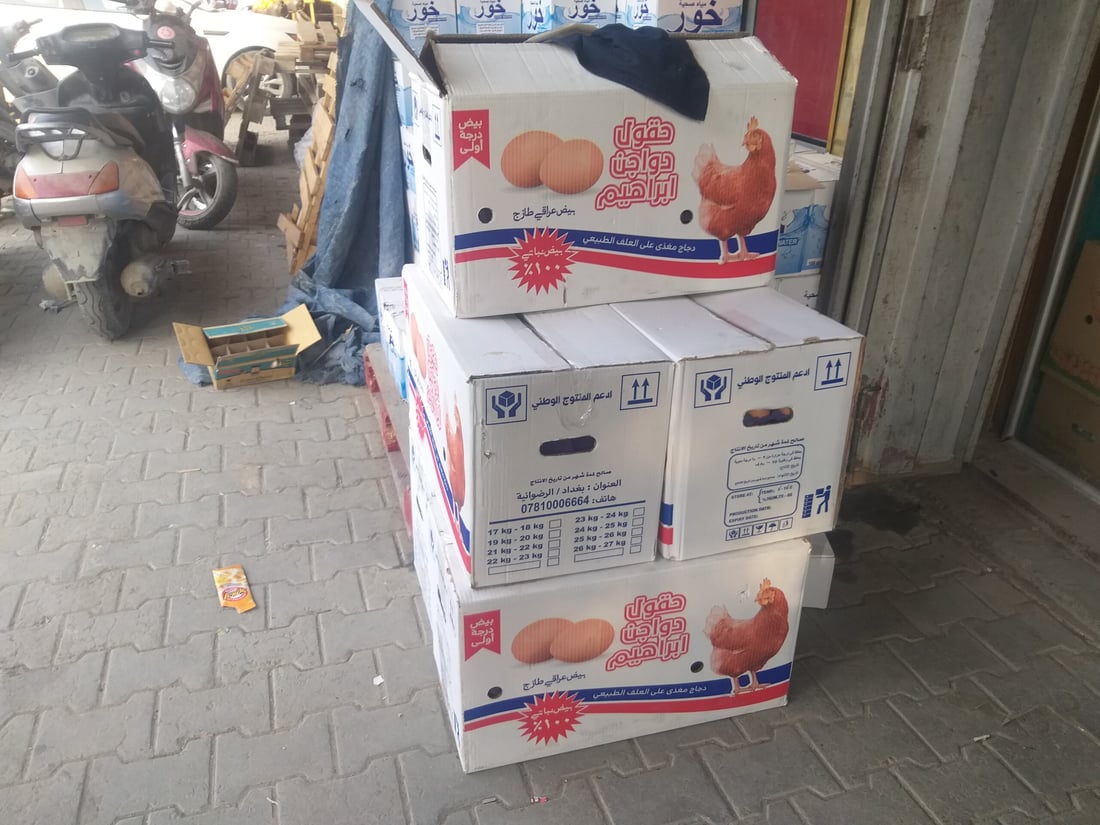بغداد: البيض يعود إلى رشده في الحرية.. الطبقة بـ4500 وقد تنخفض أكثر
