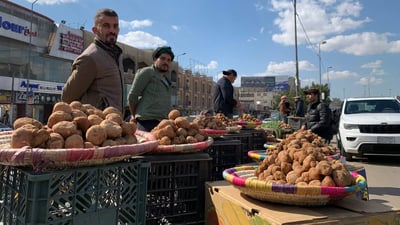 أسعار الكمأ في بغداد تصل إلى 150 ألف دينار وزبائن الخليج يدفعون أكثر