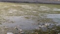 ئاوى خواردنه‌وه‌ى خورماتوو بۆنى گرتووه‌ و ئاوه‌ڕۆش پاكى ناكاته‌وه‌