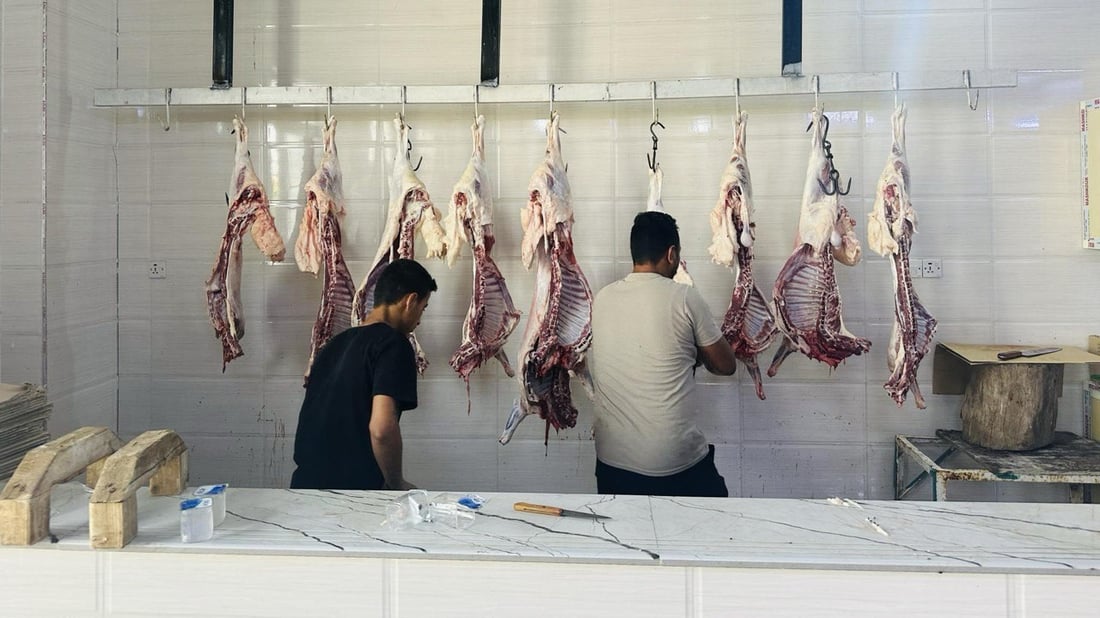 Initiative distributes meat to Fallujah’s needy during Eid al-Adha