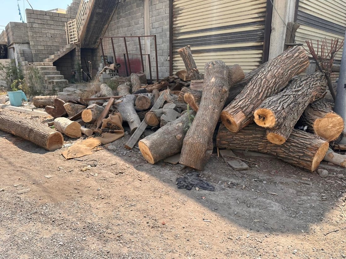 چوار تۆمەتبار لە خورماڵ بە تۆمەتی راوکردن و بڕینەوەی دار دەستگیرکران