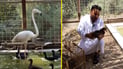 طير المندرين سلوكه غريب والفلامنكو ليس للتشريب.. رق قلب صياد البصرة فصار طبيباً