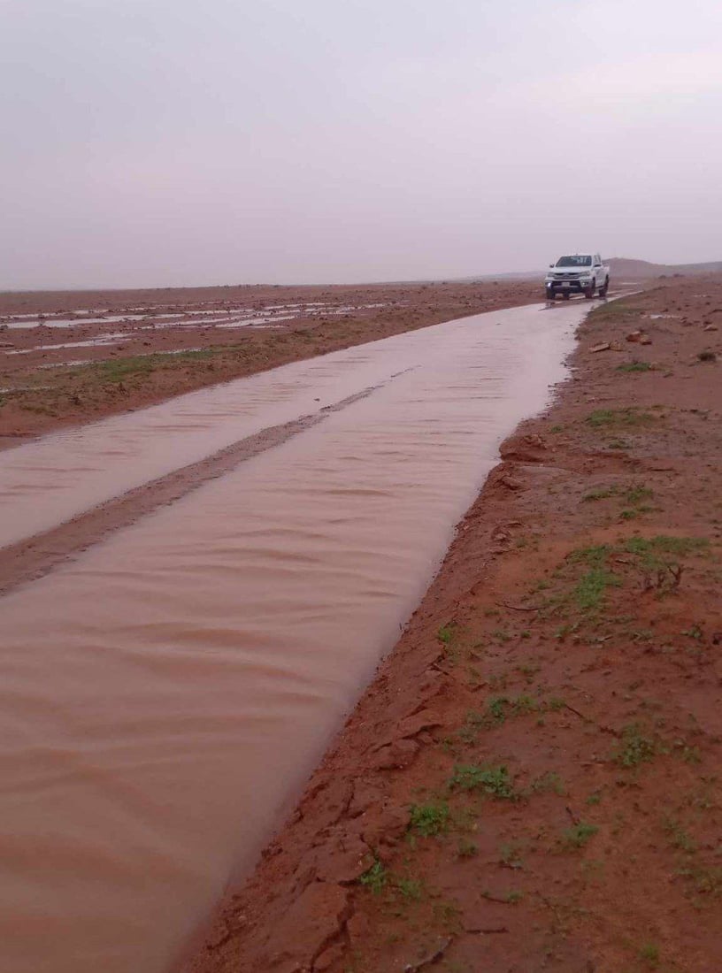 سيول تهدر من جهة السعودية والأمطار تستمر الجمعة.. الكمأ ظهر في السماوة (صور)