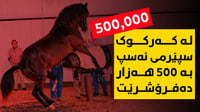سپێرمی كامەرانی لالۆ بە 500 هەزار دینارە  