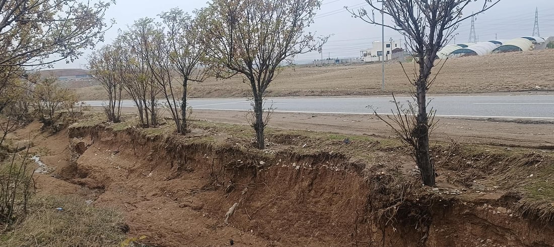 بچن بەهانای درەختەکانی نێوان تەکیە بۆ چەمچەماڵ