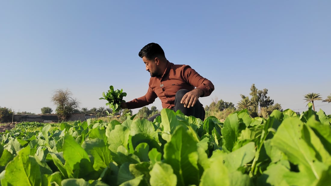 Kalar vegetable seller builds loyal following from a decade of street-to-door service