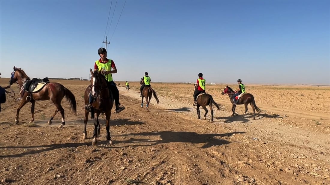 مسابقة في أربيل تجمع الخيول من كل العراق.. والفارسة الوحيدة حصدت المرتبة الأولى