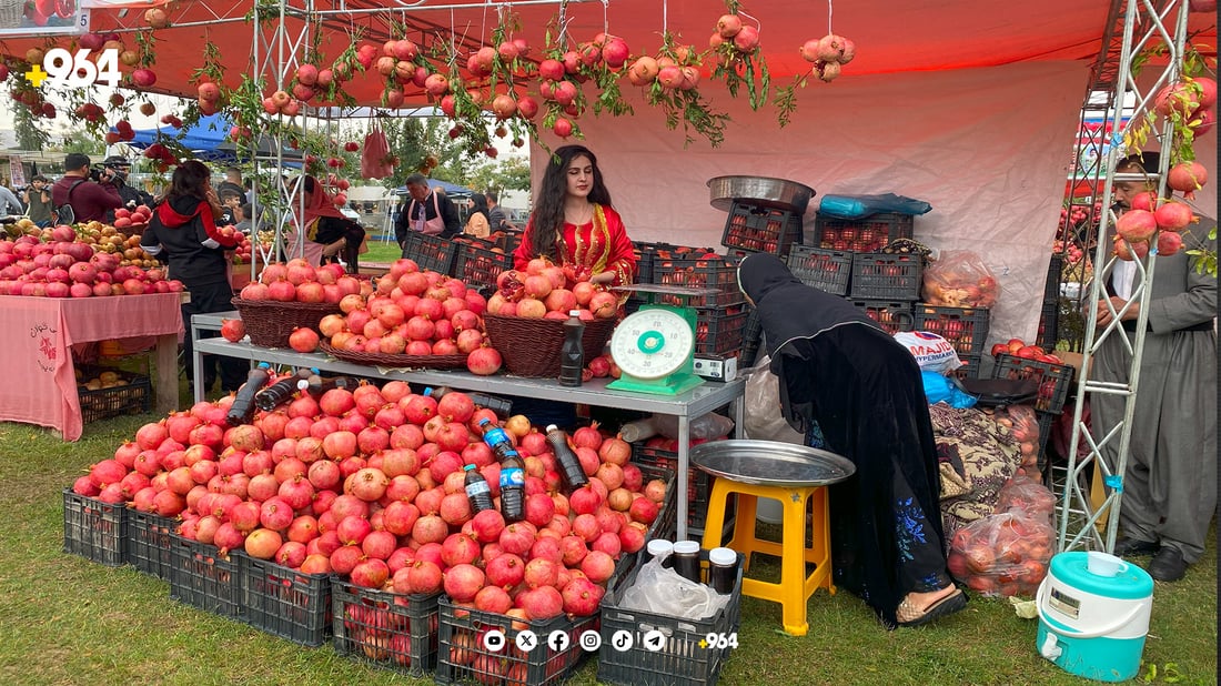 ئەگەر کەپرت لە فێستیڤاڵی هەنار دەوێ ناونووسین دەستیپێکرد