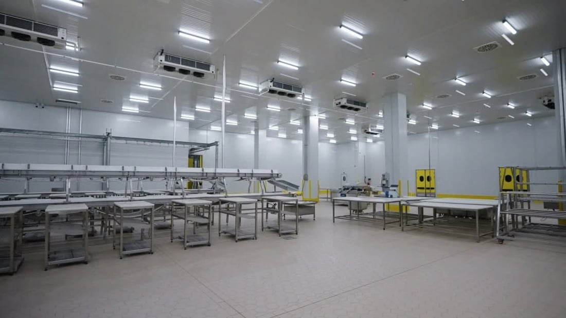 50هەزار ئاژەڵ بەیەکەوە جێگەیان دەبێتەوە 