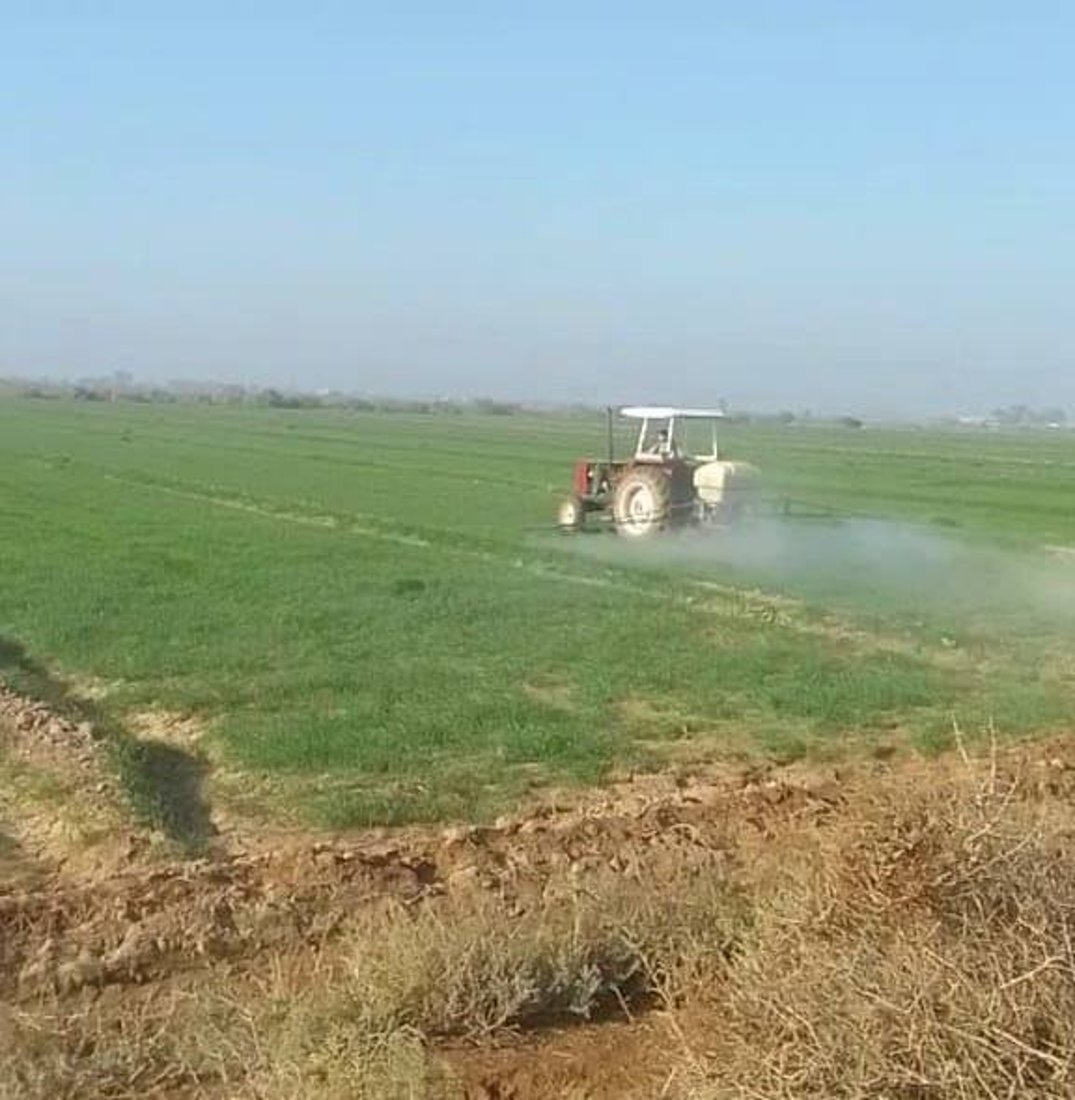 السماد صار بسعر السكر.. مزارعو الدجيلي حصلوا على الماء لكن الكهرباء خذلتهم (صور)