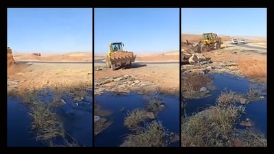 له‌نێوان كۆیه‌ ته‌قته‌ق قیرێكی زۆر رژاوه‌ و چه‌ند ئاژه‌ڵێكى له‌ناو بردووه‌