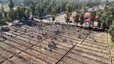 Mosul’s forests struggle with neglect and fires, but reforestation efforts offer hope