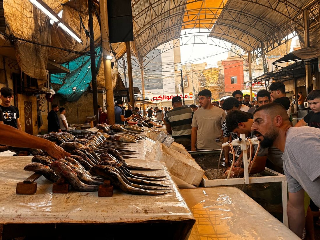 سوق السمك في الموصل ينتعش.. زوار أجانب يتوافدون يومياً (صور)