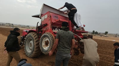 بعويزة “على الله ثم الأمطار”.. مشاهد من آخر بذار للحنطة والشعير
