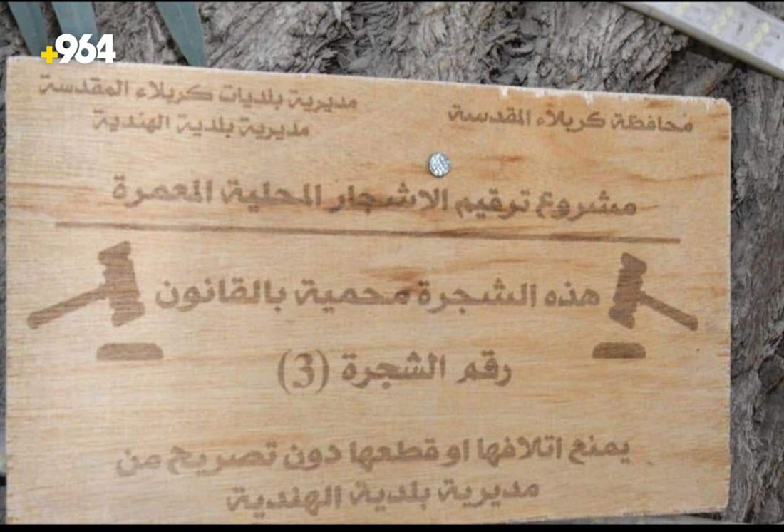 صور: طويريج تضع حراساً على 75 شجرة معمرة لحمايتها من الحطابين