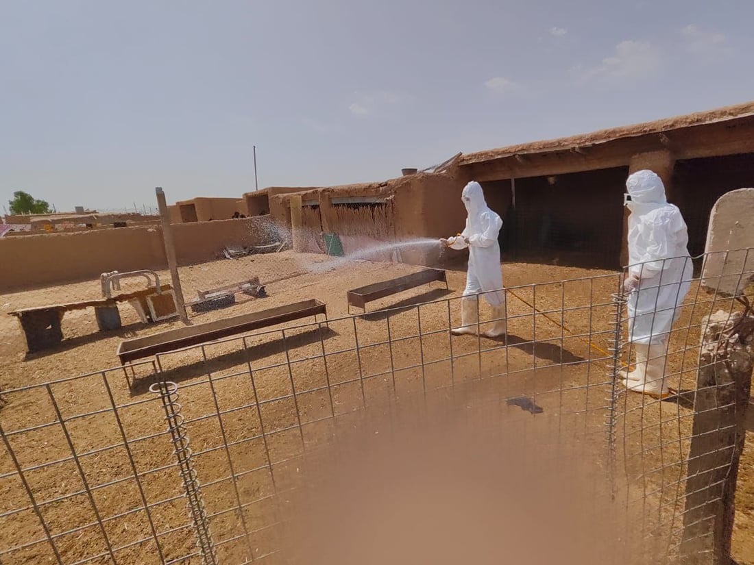 یه‌كه‌م حاڵه‌تى گیان له‌ده‌ستدان به‌هۆى تای خوێنبەربون له‌كه‌ركوك تۆمار كرا