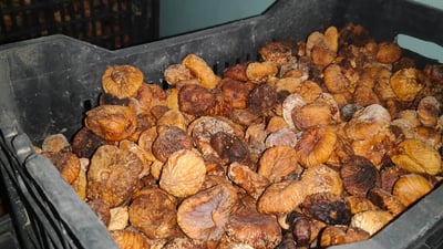 10 tons of spoiled dried figs seized in Erbil