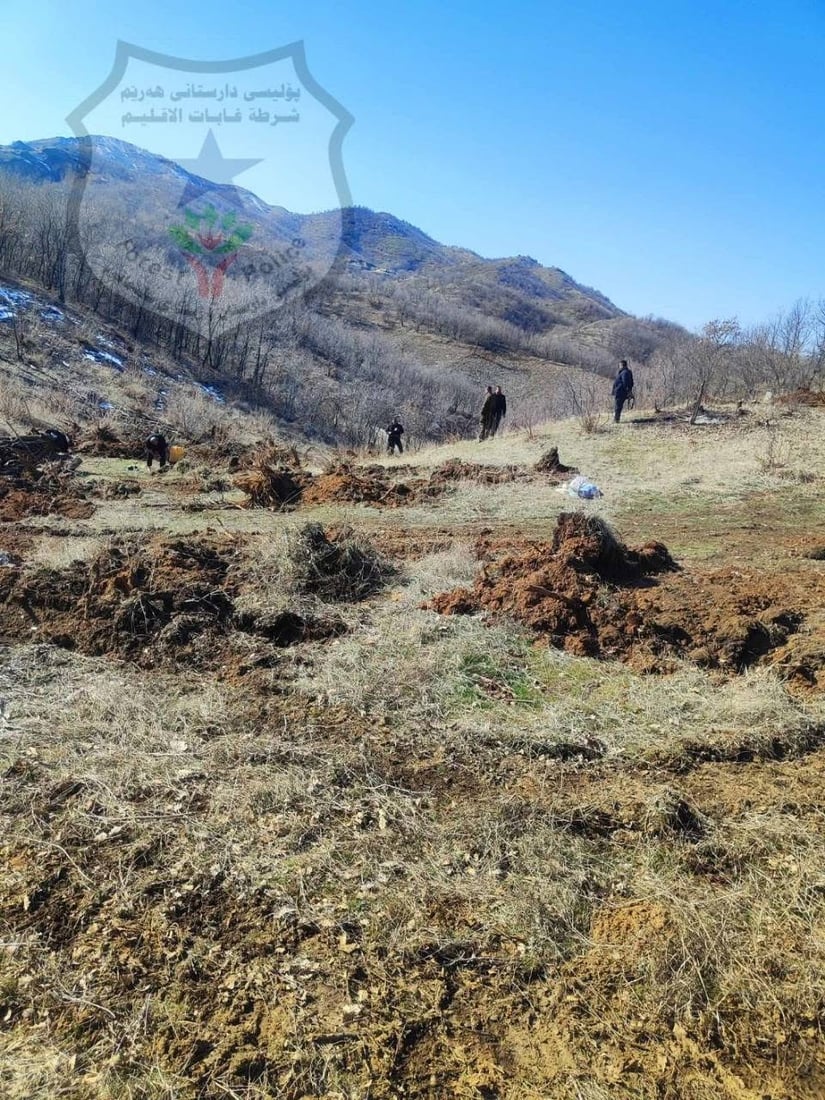 لە پێنجوێن دوو داربڕ کارەساتێکى ژینگەییان دروست کرد