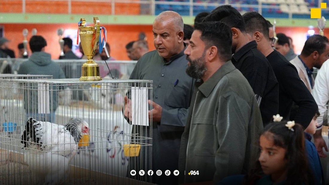 کەڵەشێری هەولێر یەکەمی عێراقە