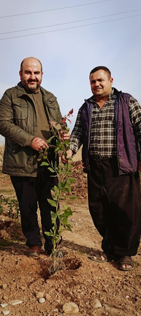 2,000 saplings planted in Chamchamal to restore greenery along key highway