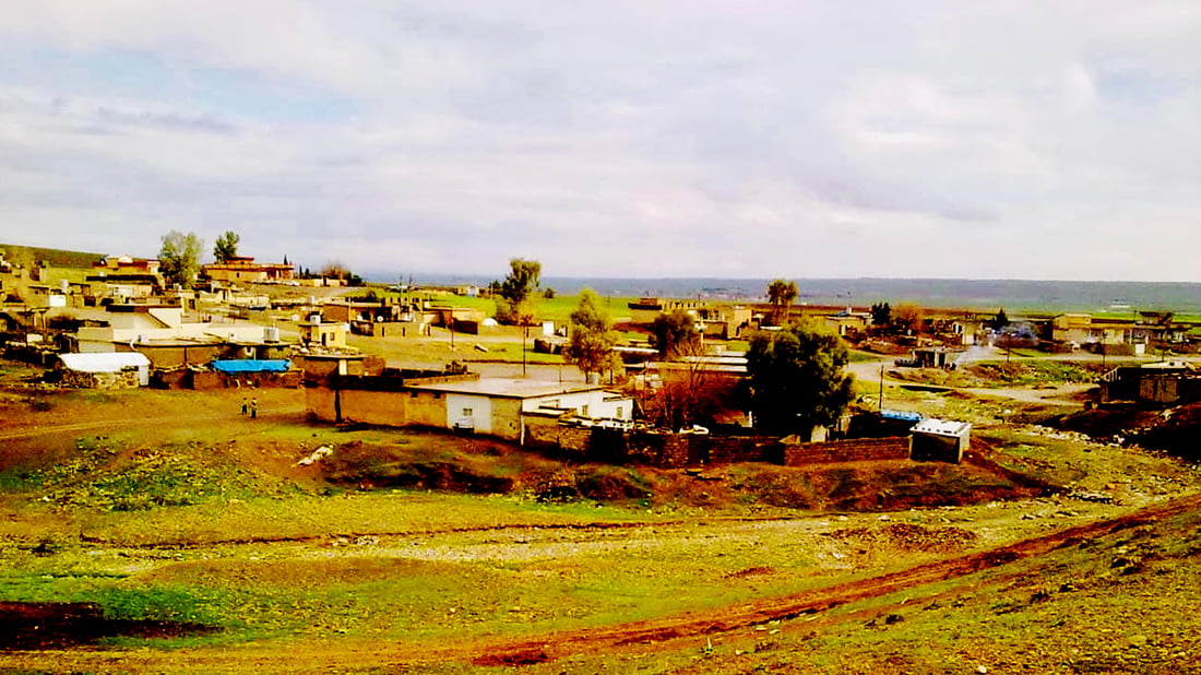 گونده‌كانى سنوورى زراره‌تى به‌هۆى كه‌مى كاره‌باوه‌ شه‌وان خه‌ویان نه‌ماوه‌