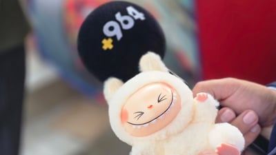 Erbil bans Labubu dolls, citing impact to children and ‘blind box’ model