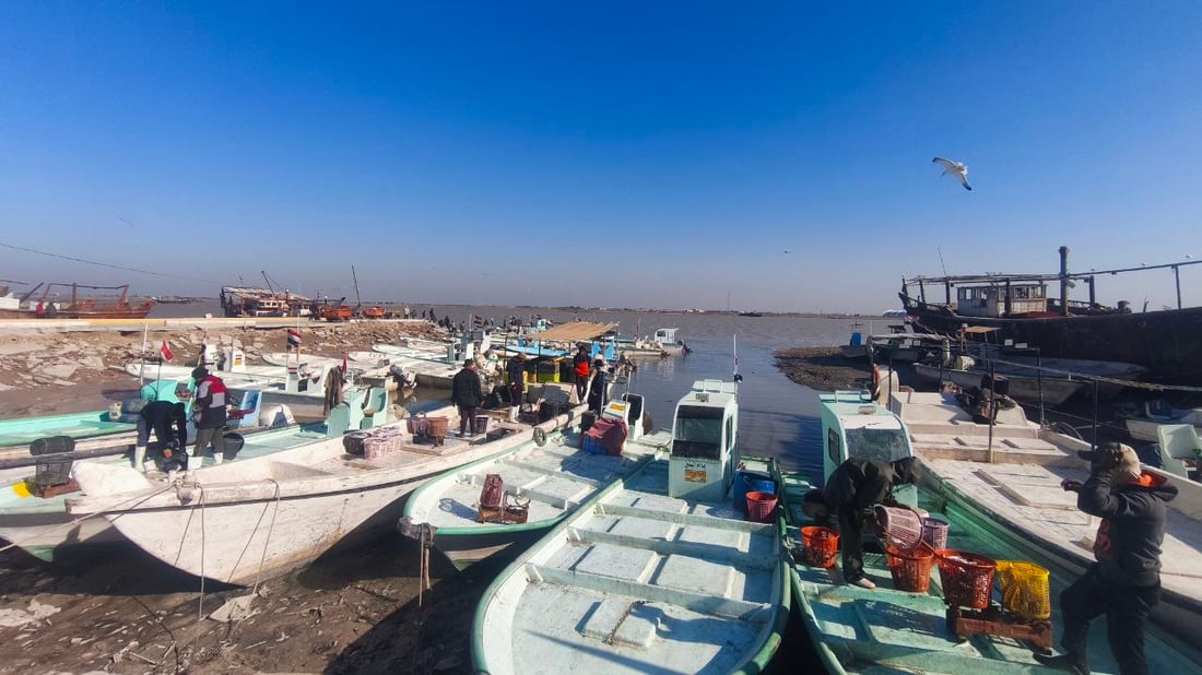 صور من مرسى الفاو: البحارة عادوا بأطنان من البياح والنويبي والروبيان