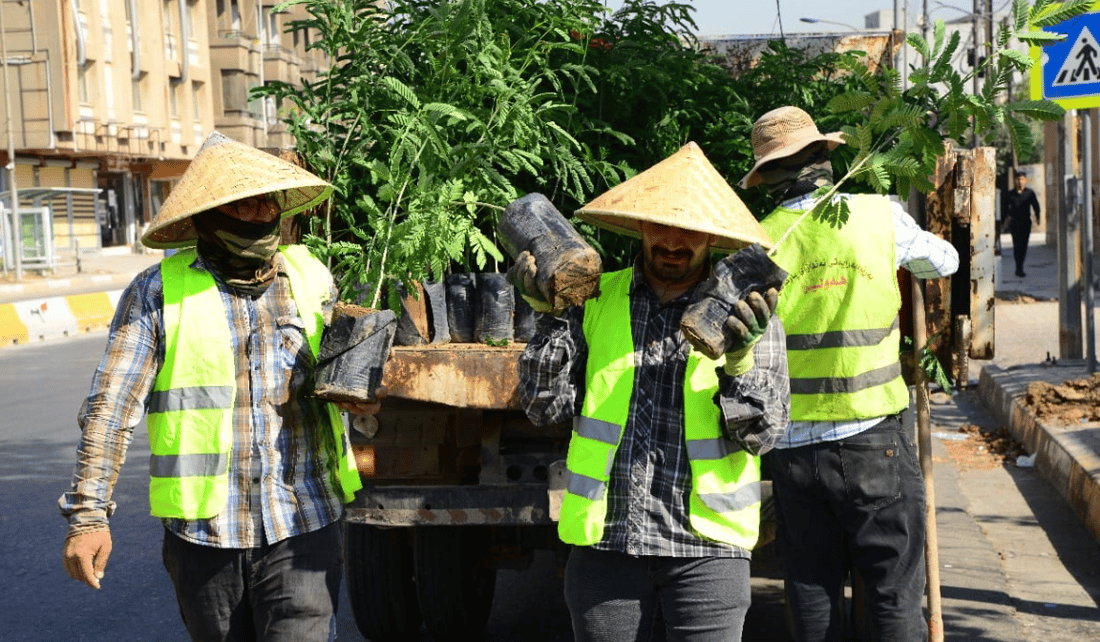 شەقامی 30 مەتری بە 300 دار سەوز کرا