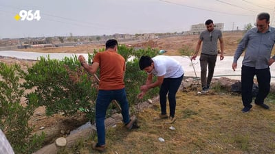 University students plant 150 seedlings in Tal Afar city