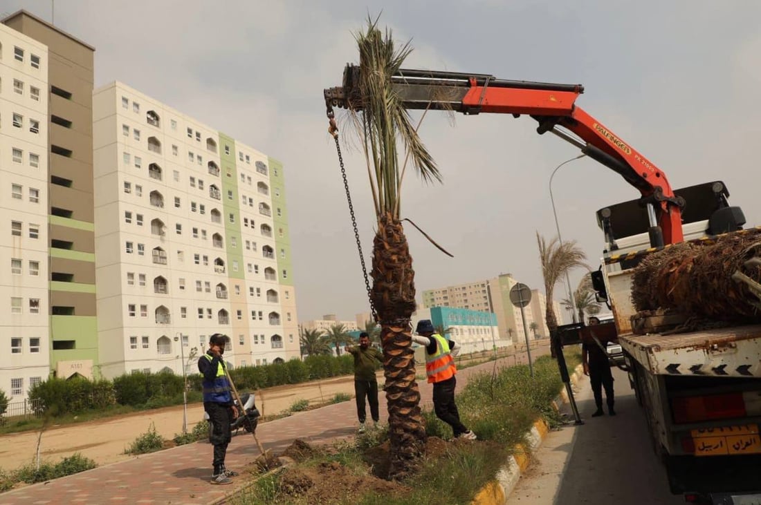 صور: سكان بسماية يزرعون النخيل والثيل قبل الصيف.. “الحياة أجمل الآن”