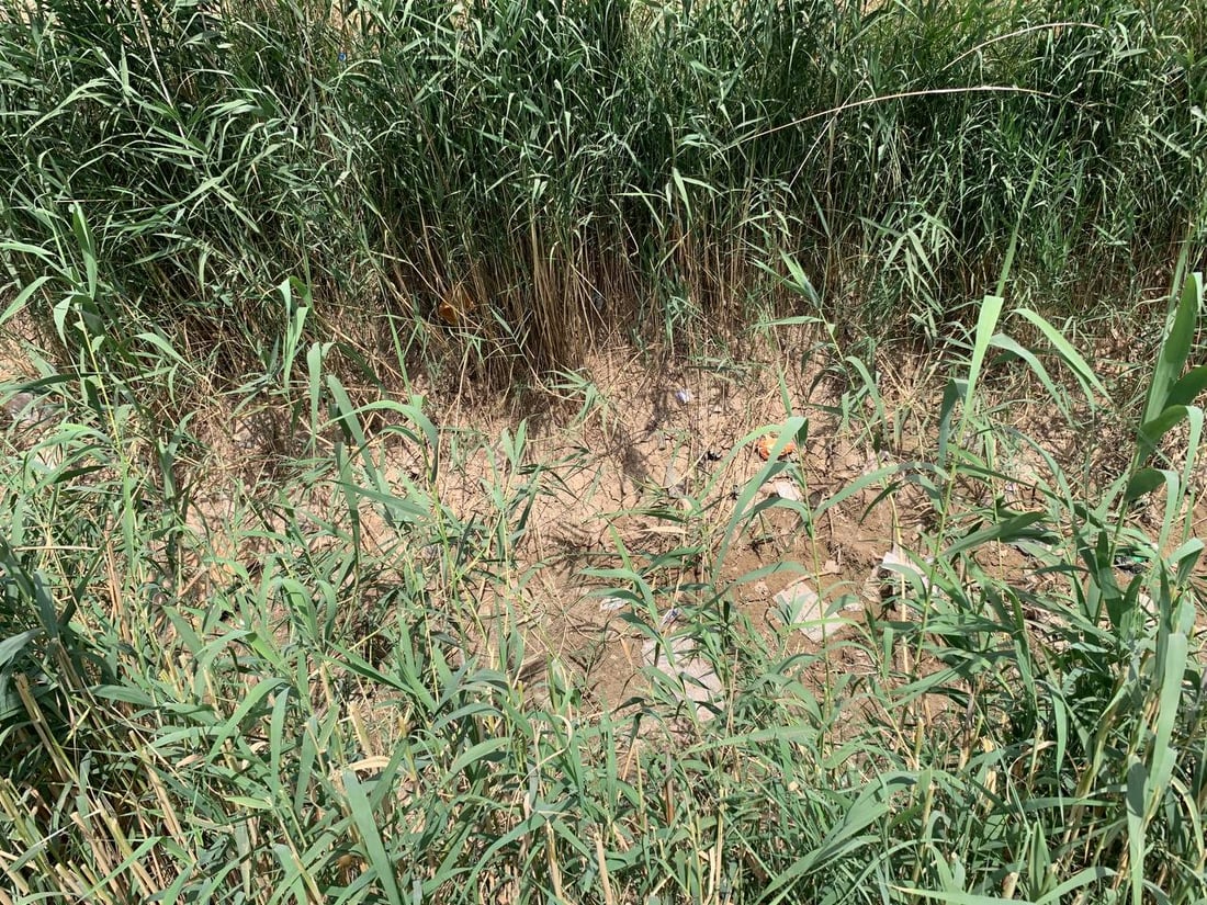 صور: نادي الضلوعية يعلق نشاطاته الرياضية بسبب جفاف أرضية الملعب