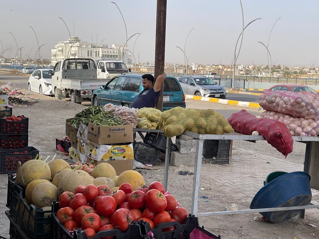 علوة كركوك: الباميا العراقية “مغرورة” بـ4 آلاف.. والمشمش يختفي بسرعة (صور)