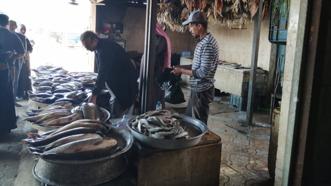 البصرة تمنع البني والشبوط 60 يوماً.. دعوها تتكاثر وسفن البحر تكفي حتى نيسان (صور)