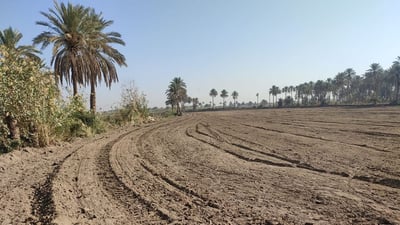 الجهد الخدمي يكشف عن حراك لمنع الهجرة من قرى بابل بسبب شح المياه