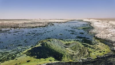 سر وراء جفاف بحر النجف.. أكرم شربة يؤشر على الخارطة الاستثمارية ويسأل بغداد