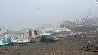 حالة البحر على شواطئ البصرة: ضباب ورياح مثيرة للغبار مع موج خفيف