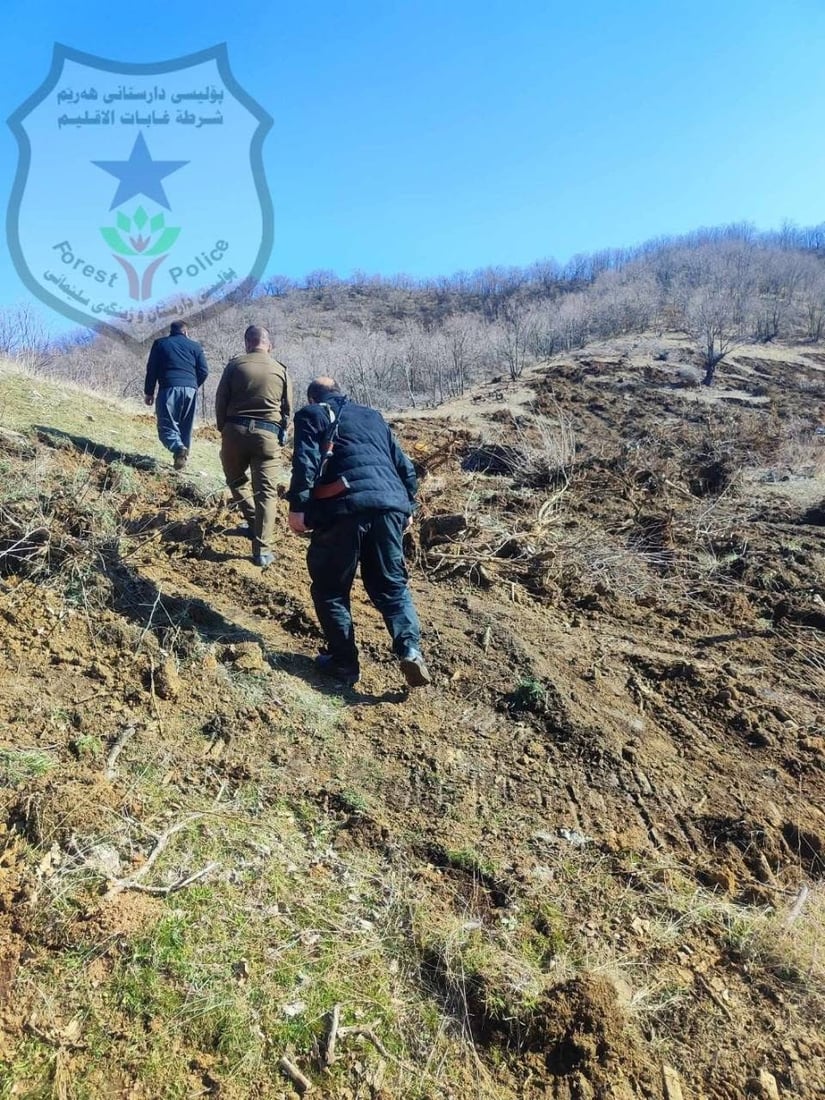 لە پێنجوێن دوو داربڕ کارەساتێکى ژینگەییان دروست کرد