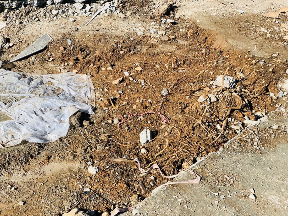 ژینگه‌ى هه‌ڵه‌بجه‌ لێپرسینه‌وه‌ له‌گه‌ڵ شوێنكارێك ده‌كات