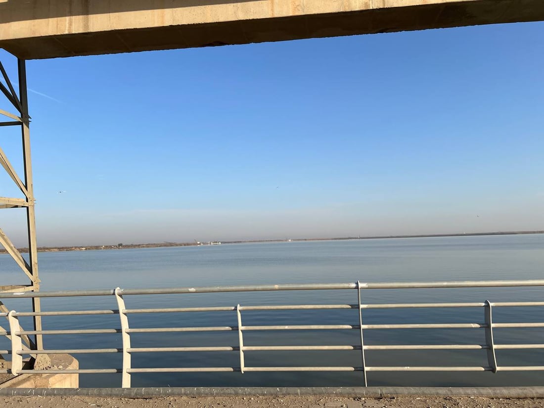 ارتفع منسوب دجلة فانقطع الماء!.. زهرة النيل تمنع المياه عن سامراء أسبوعاً