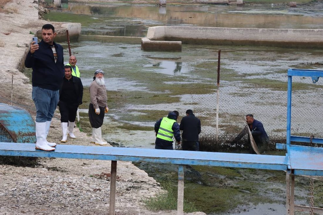 زیاتر 100 گەڵابە پاشماوە لە سەرچاوەی ئاوی بێستانسوور فڕێدرا